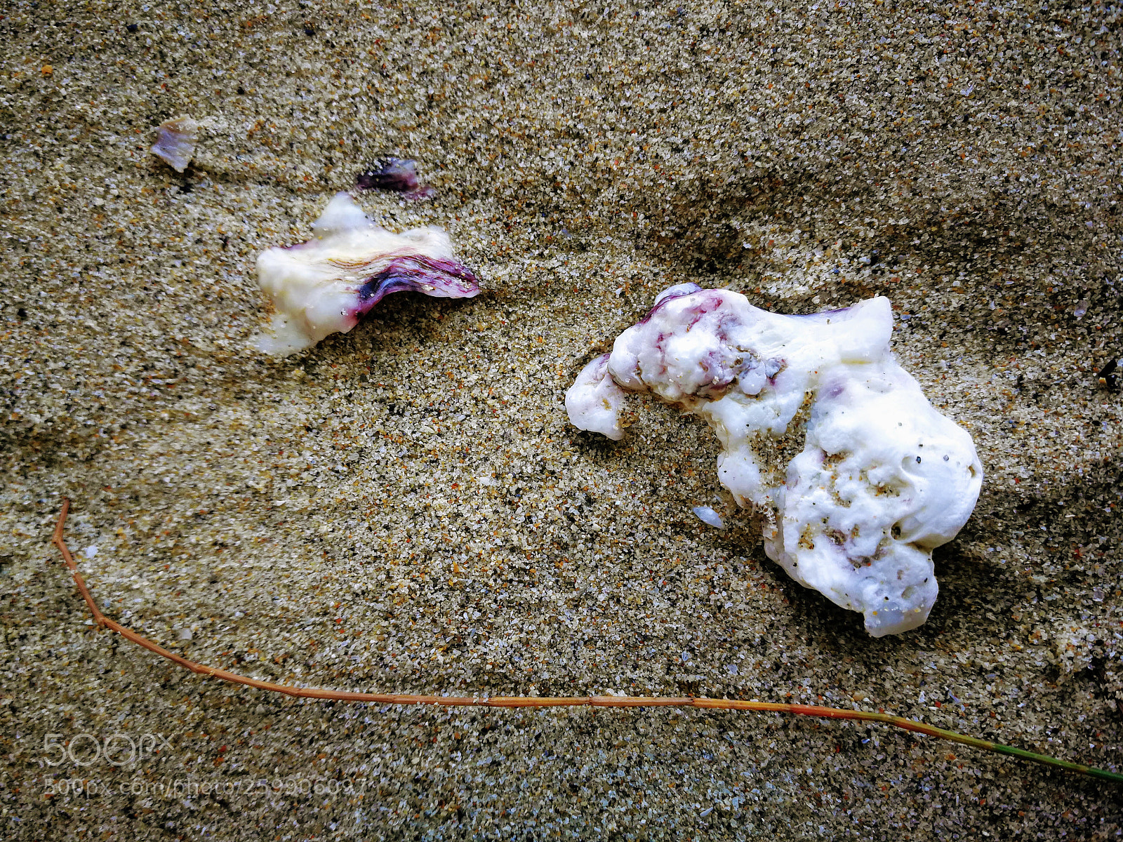 HUAWEI P10 sample photo. Beach place photography