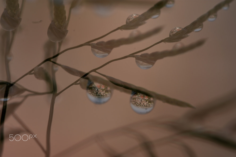 Sigma 105mm F2.8 EX DG OS HSM sample photo. Urban  view photography