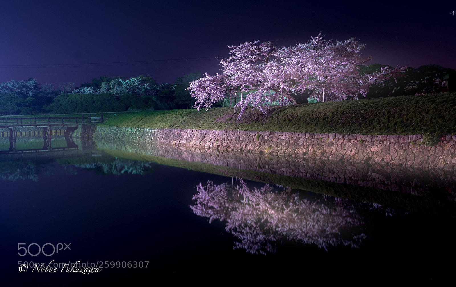 Sony a7 III sample photo. Illuminated cherry photography