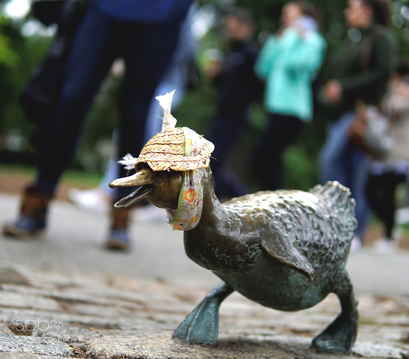 Sony a6500 sample photo. Cooper ducky photography