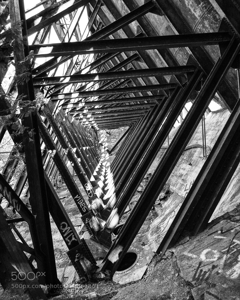 Canon EOS 40D sample photo. Good vibes only [bw] photography