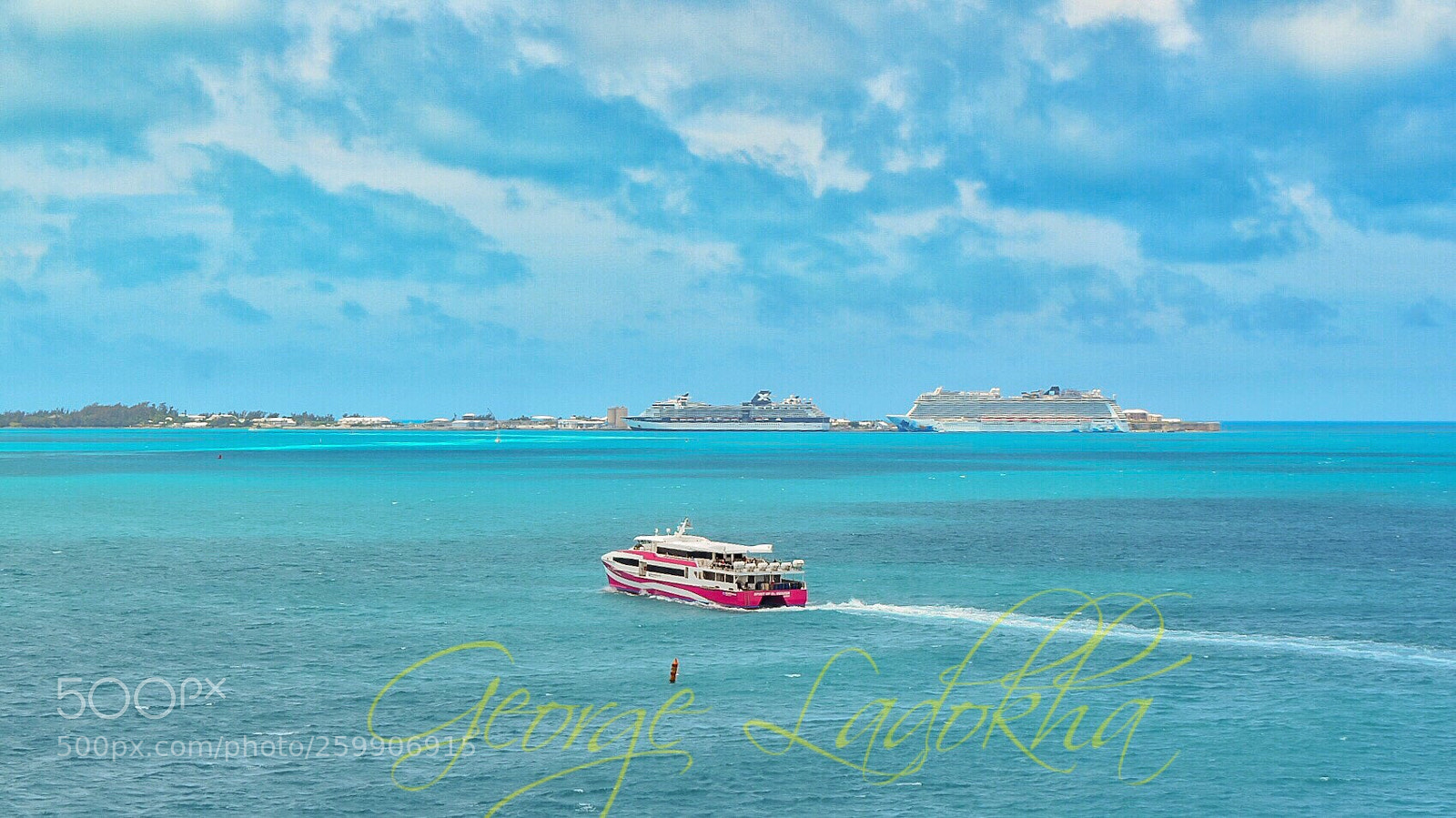 Nikon D3400 sample photo. Bermuda  photography