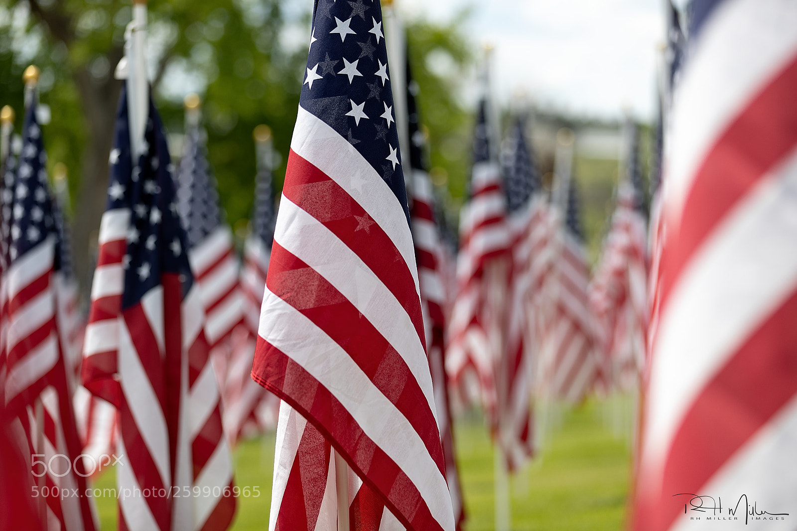 Canon EOS-1D X Mark II sample photo. Memorial day photography