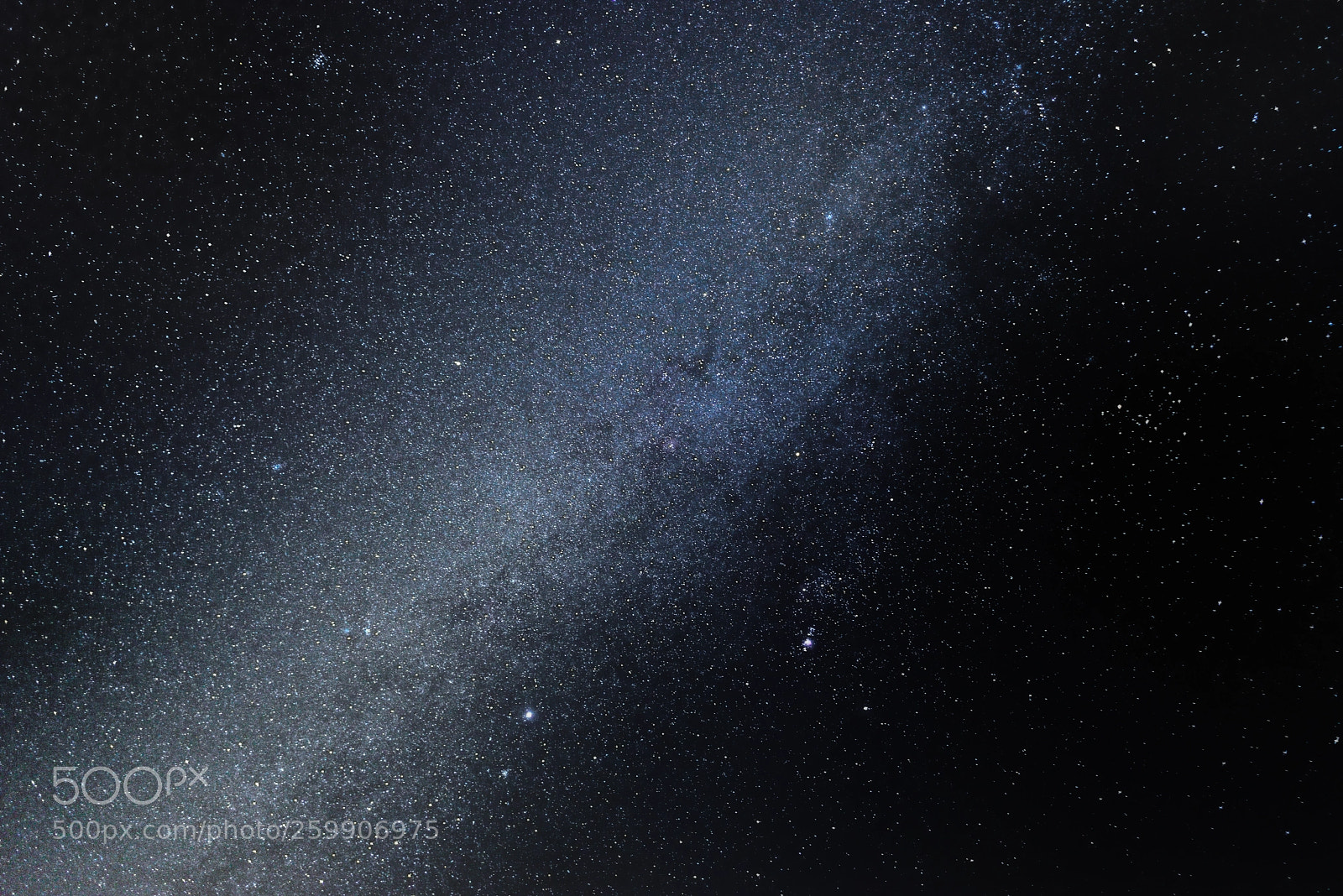 Nikon D800E sample photo. Under the orion arm photography
