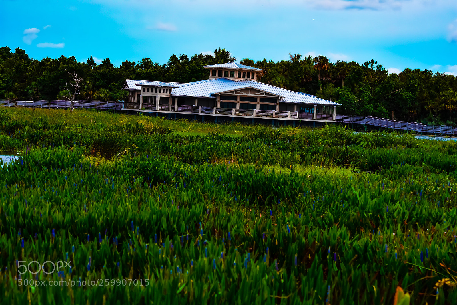 Nikon D7200 sample photo. Untitled photography
