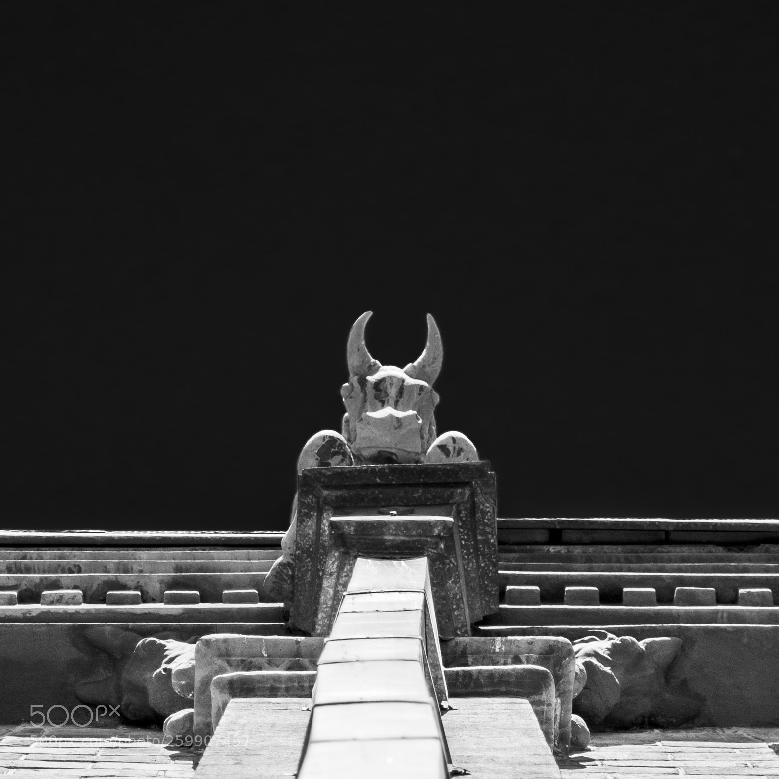 Nikon D7200 sample photo. He is witness over photography