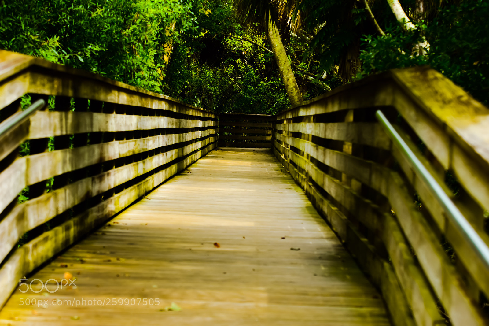 Nikon D7200 sample photo. Untitled photography