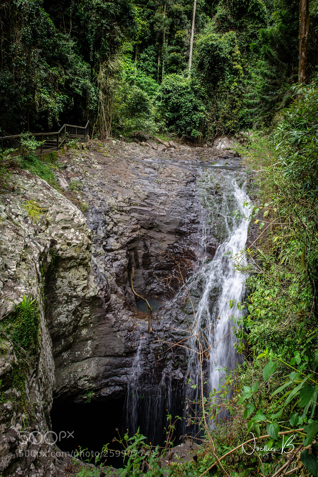 Nikon D5200 sample photo. Natural bridge, springbrook national photography