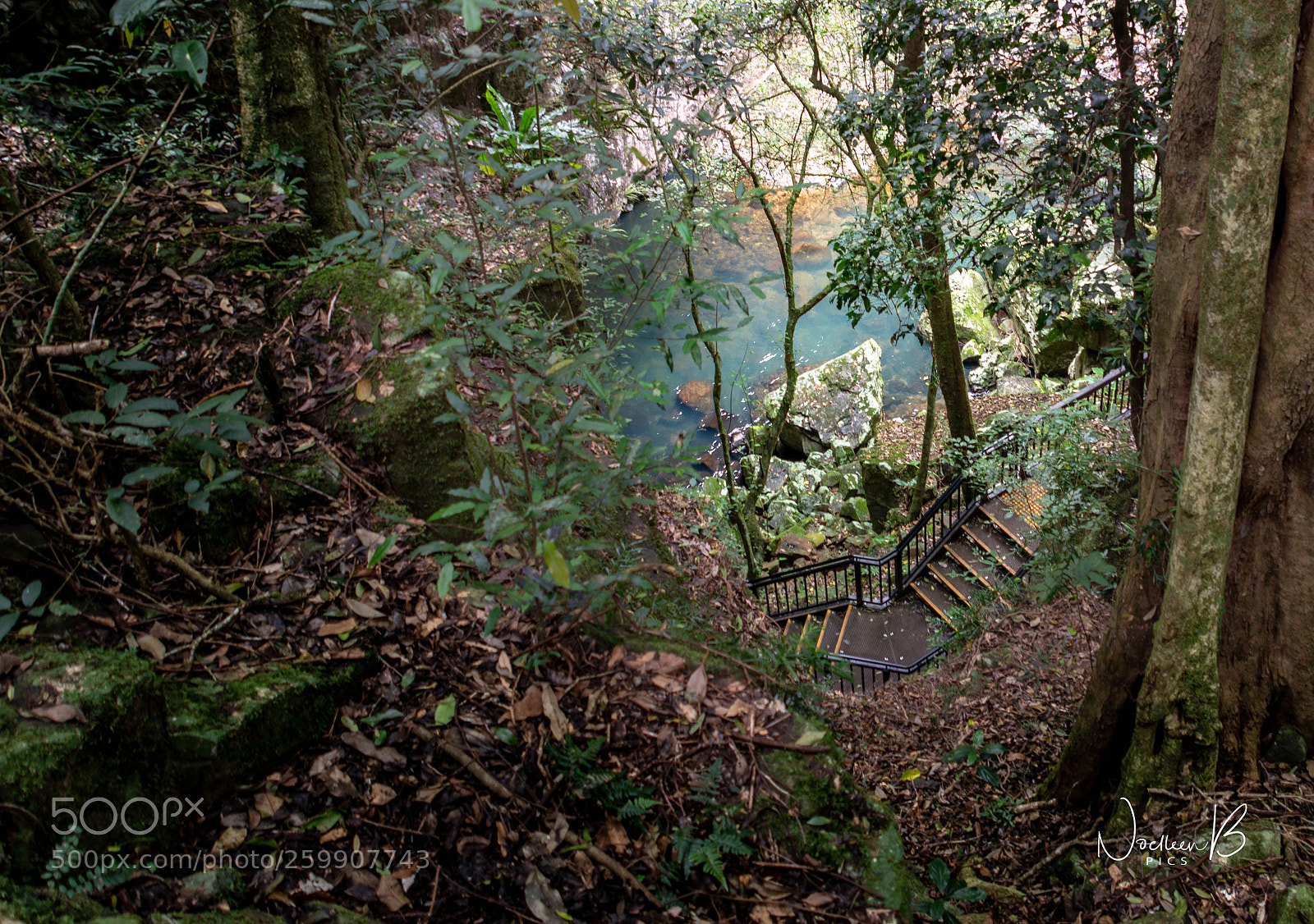 Nikon D5200 sample photo. Natural bridge, springbrook national photography