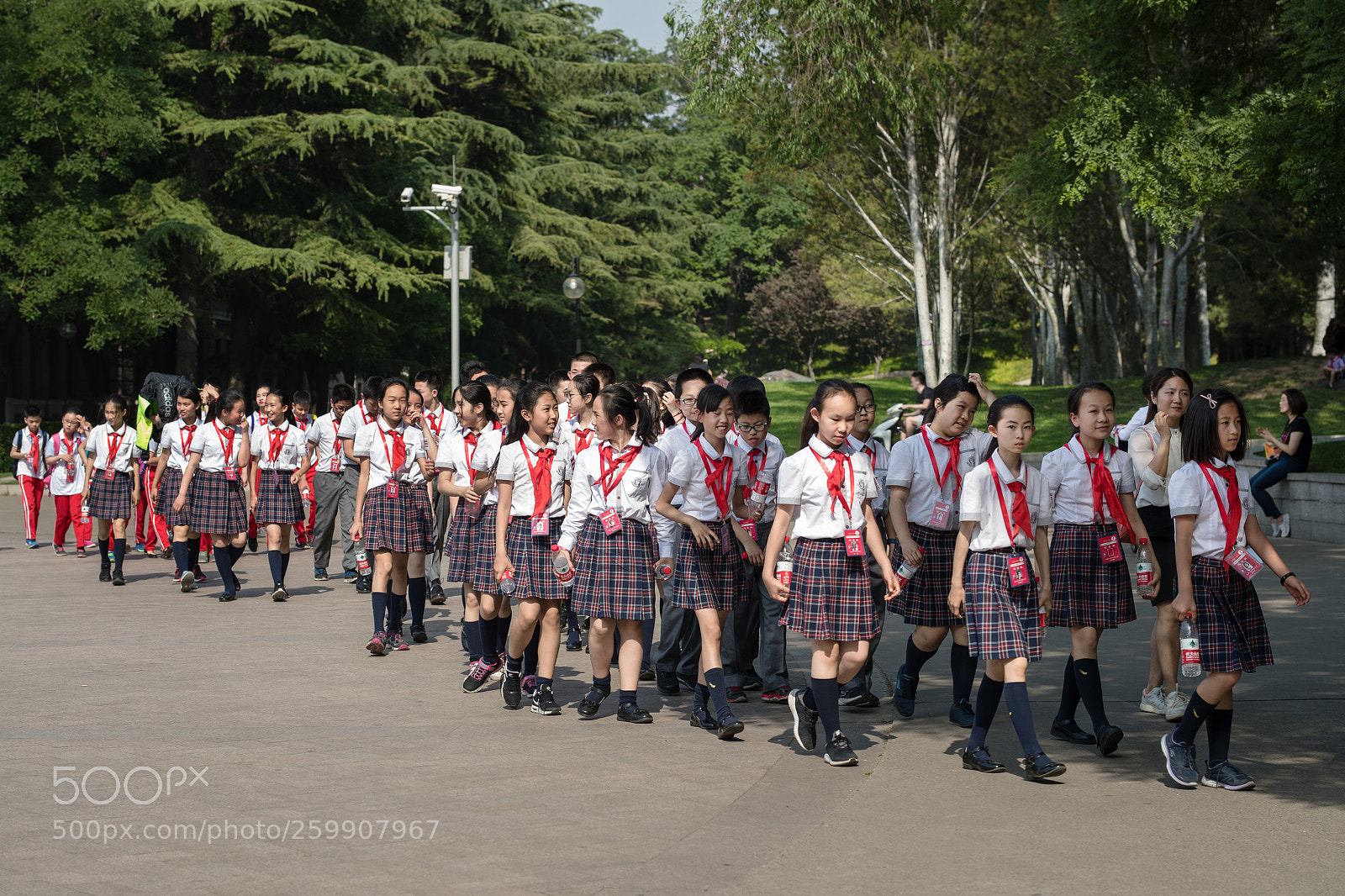 Canon EOS-1D X Mark II sample photo. Wjy photography
