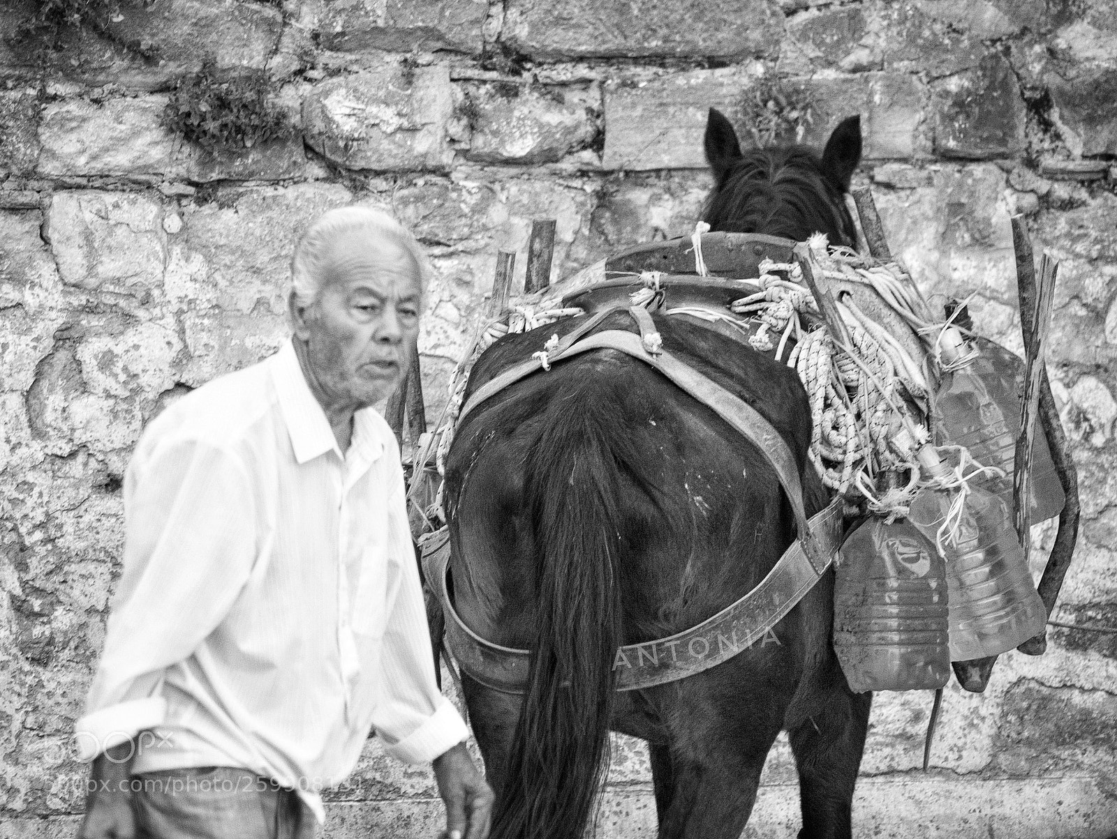 Nikon D7200 sample photo. Untitled photography