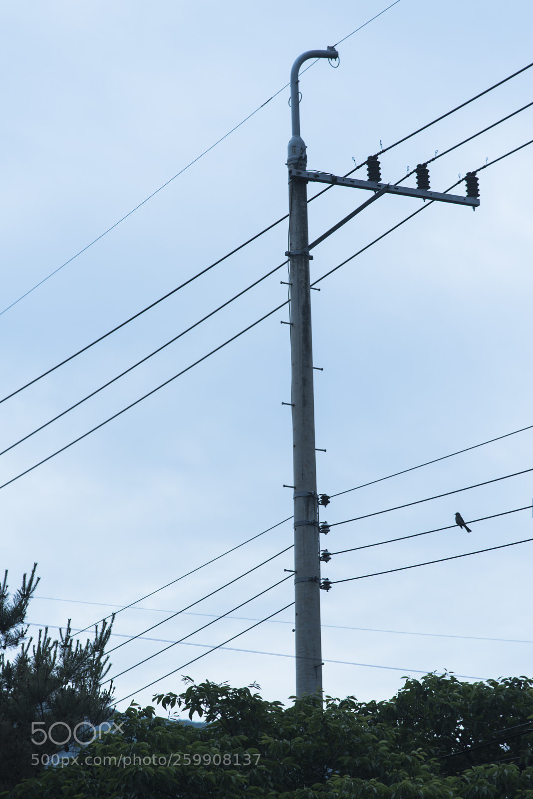 Nikon D810 sample photo. In a town   no.36 photography