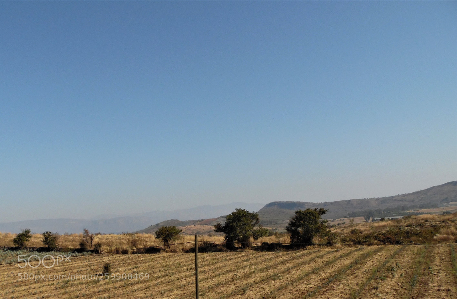 Samsung WB1100F/WB1101F/WB1102F sample photo. "trayecto" photography
