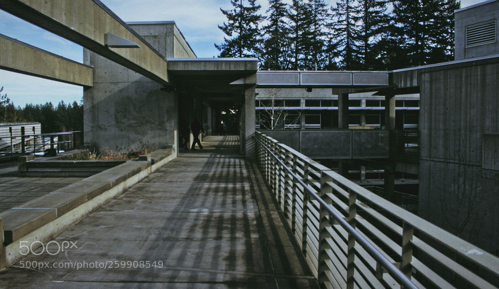 Canon EOS 700D (EOS Rebel T5i / EOS Kiss X7i) sample photo. Gritty photography