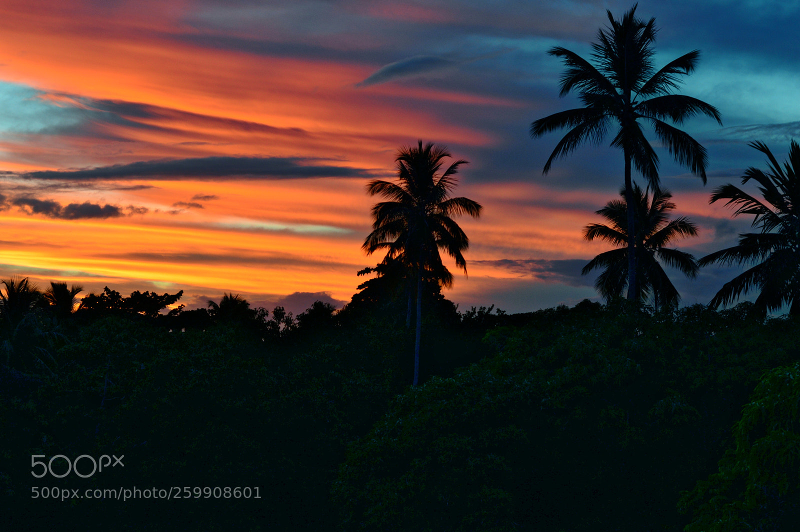 Nikon D3200 sample photo. P r-do-sol em vera photography