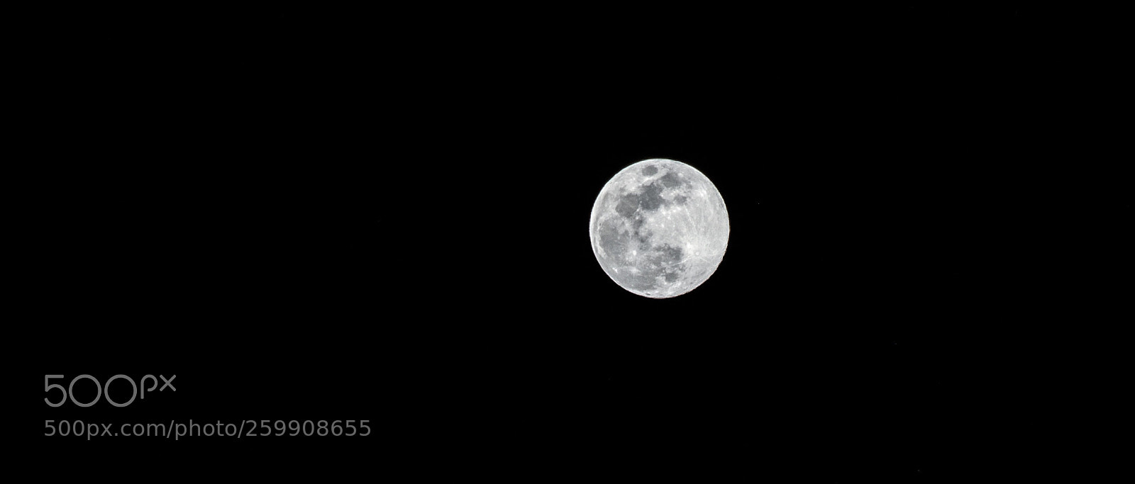 Nikon D5100 sample photo. Luna de mayo.  photography