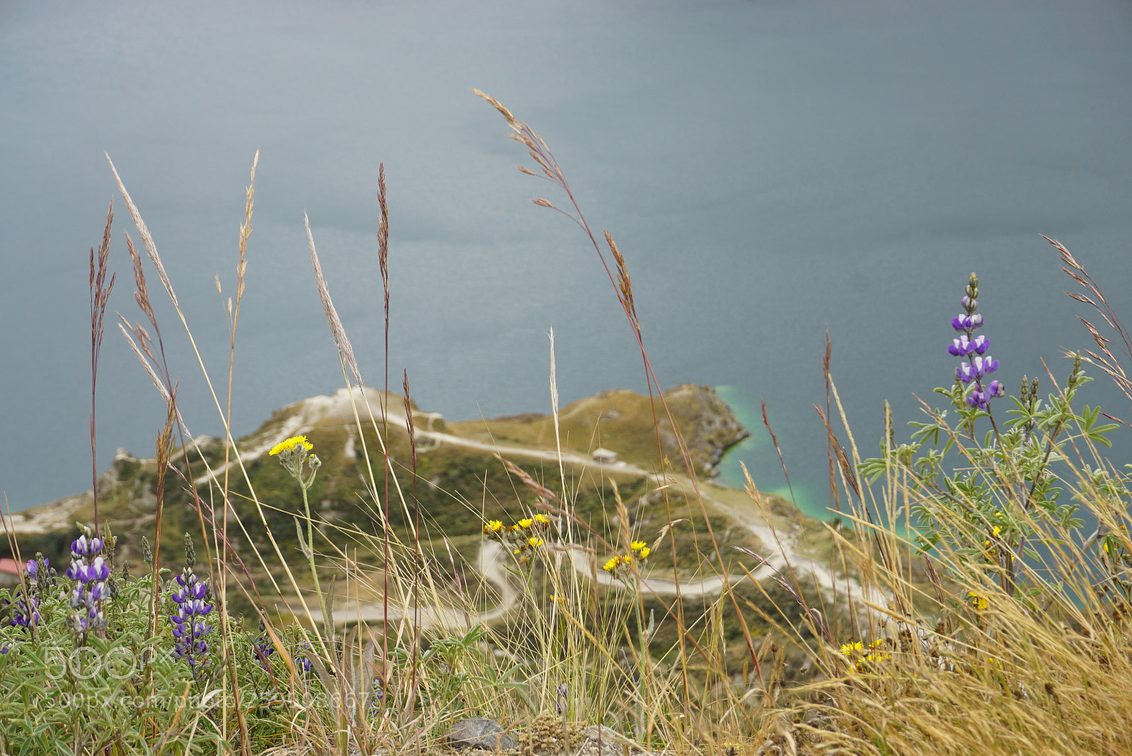 Sony a6000 sample photo. Roadside at quilotoa crater photography