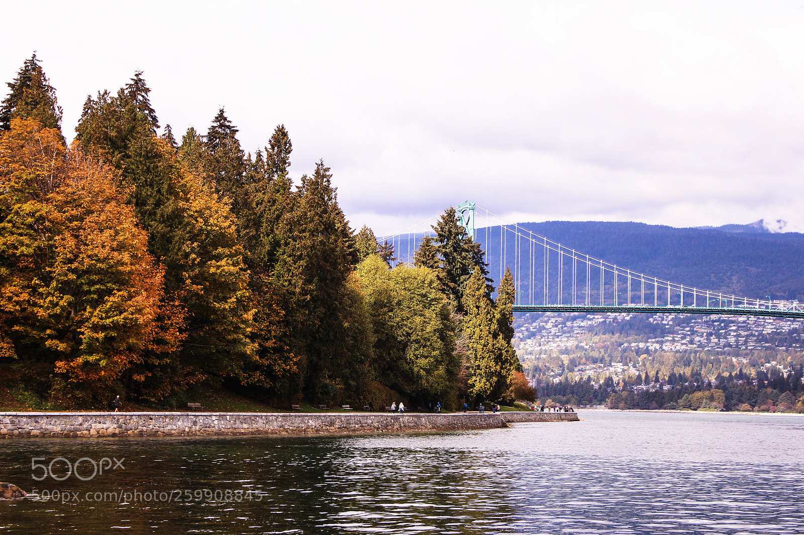 Canon EOS 700D (EOS Rebel T5i / EOS Kiss X7i) sample photo. Stanley park photography