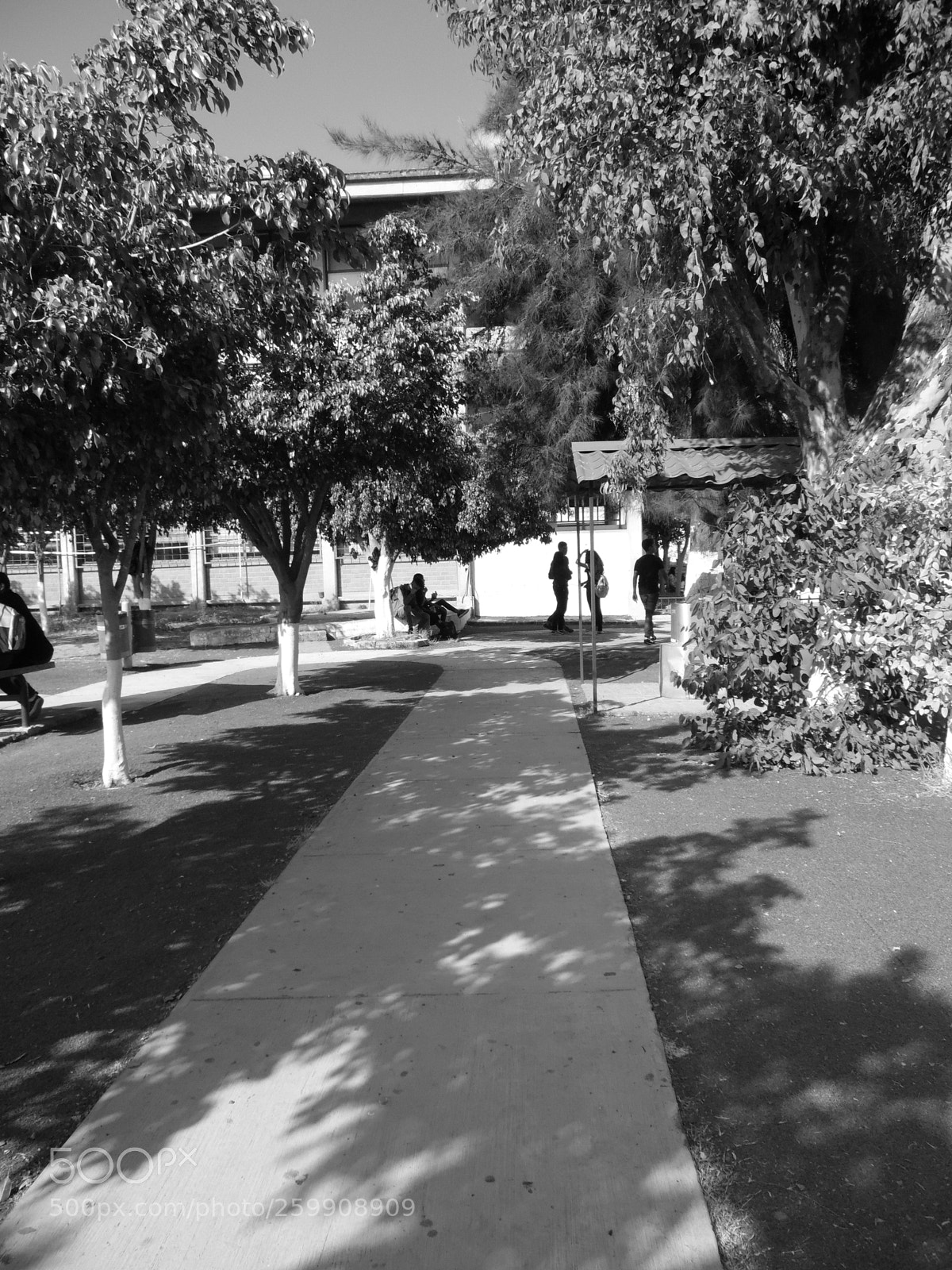 Samsung WB1100F/WB1101F/WB1102F sample photo. "recuerdos" photography