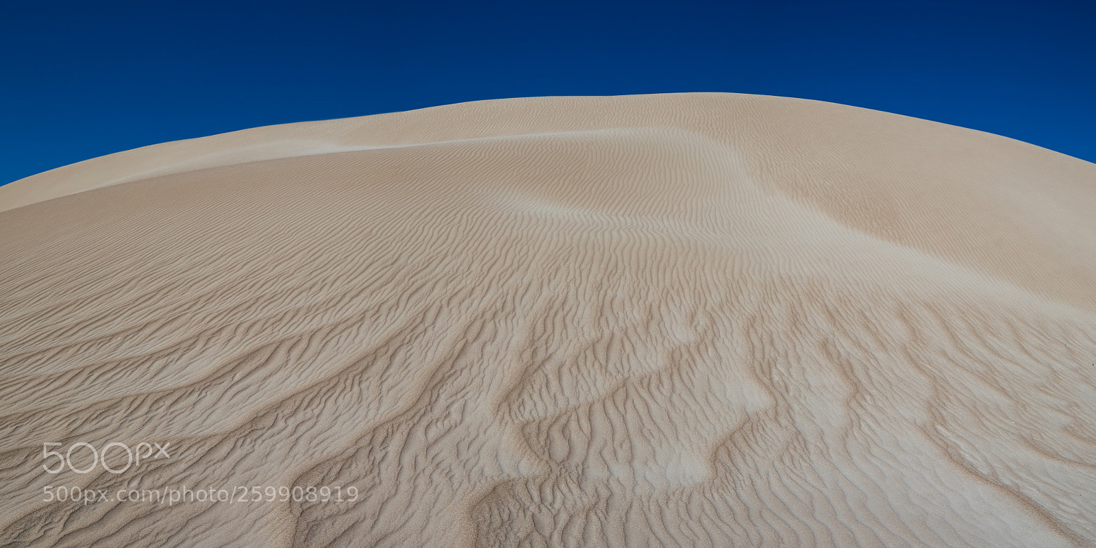 Canon EOS 5D Mark IV sample photo. Natures textures photography