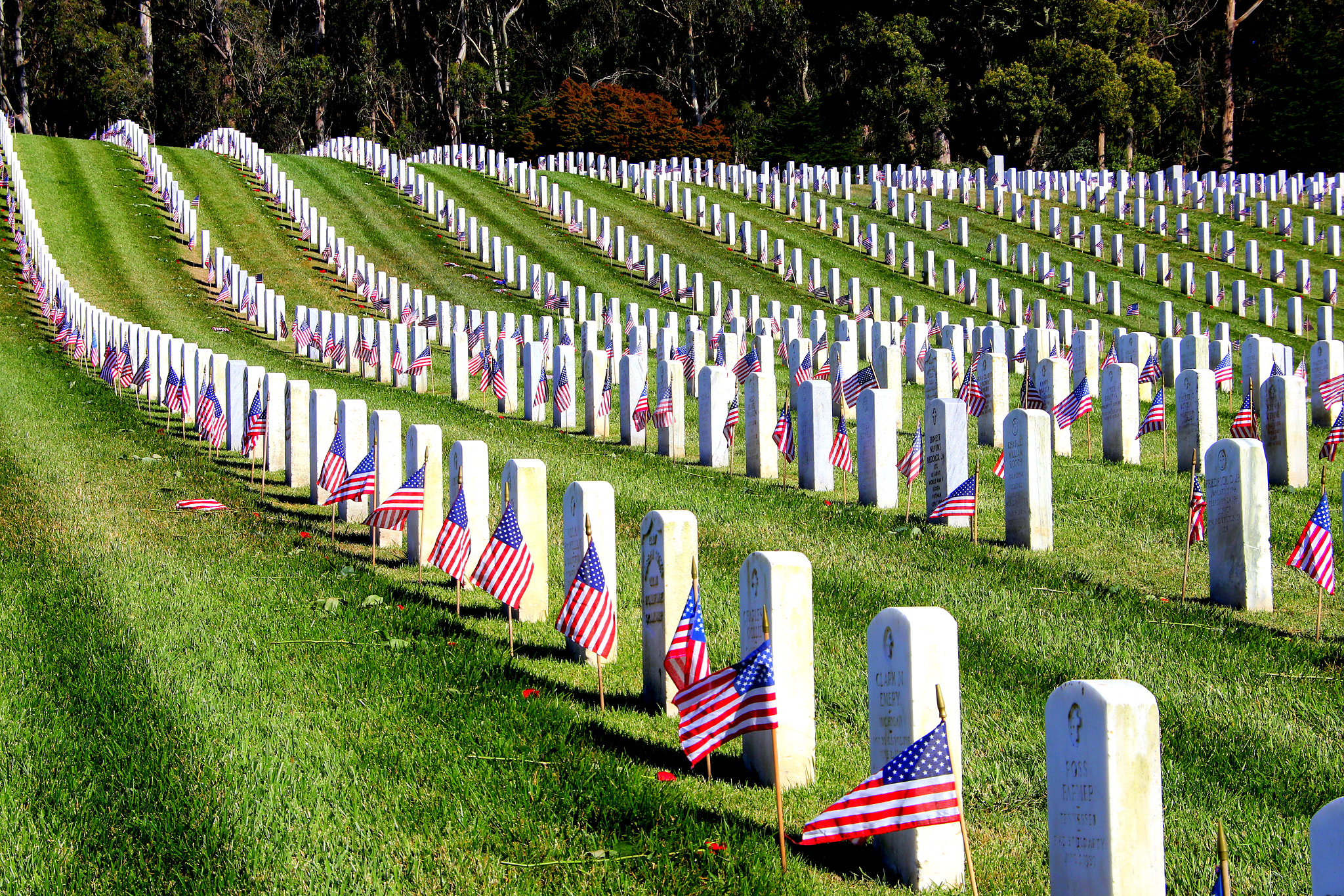 Canon EOS 600D (Rebel EOS T3i / EOS Kiss X5) sample photo. Memorial day at the sf national cemetery photography
