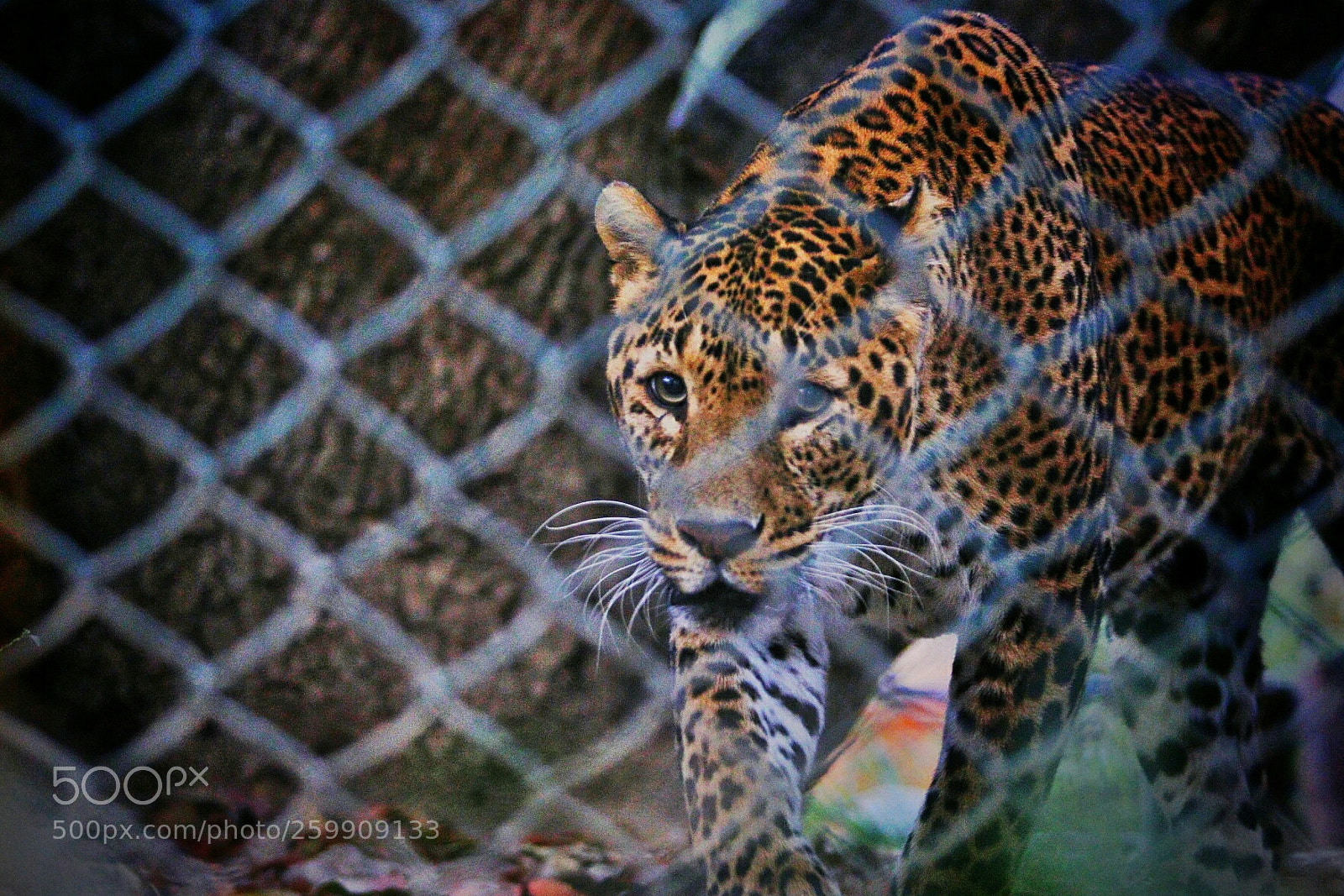 Canon EOS 80D sample photo. Untitled photography