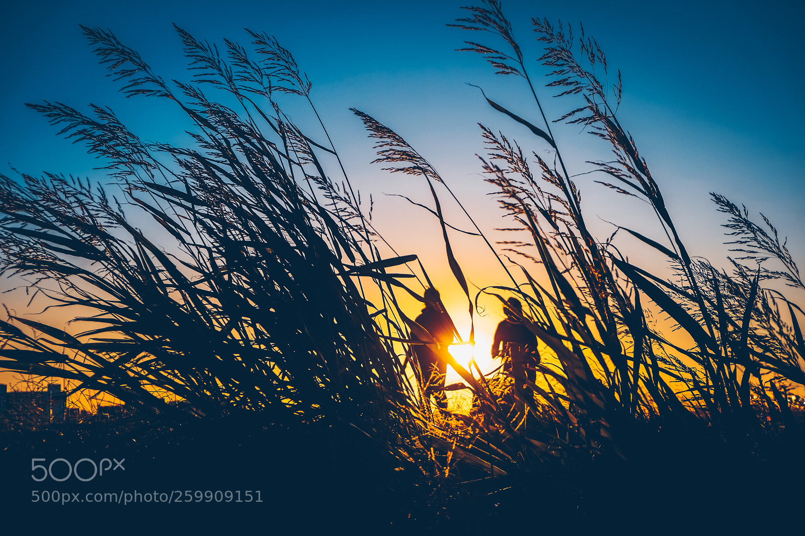 Fujifilm X-T20 sample photo. Untitled photography