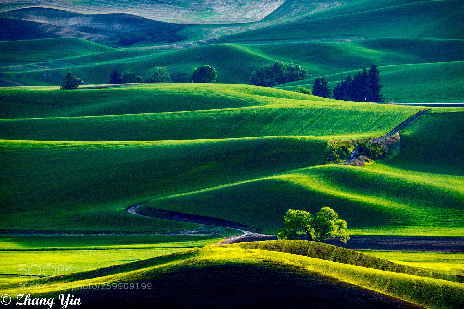 Nikon D800 sample photo. Palouse photography