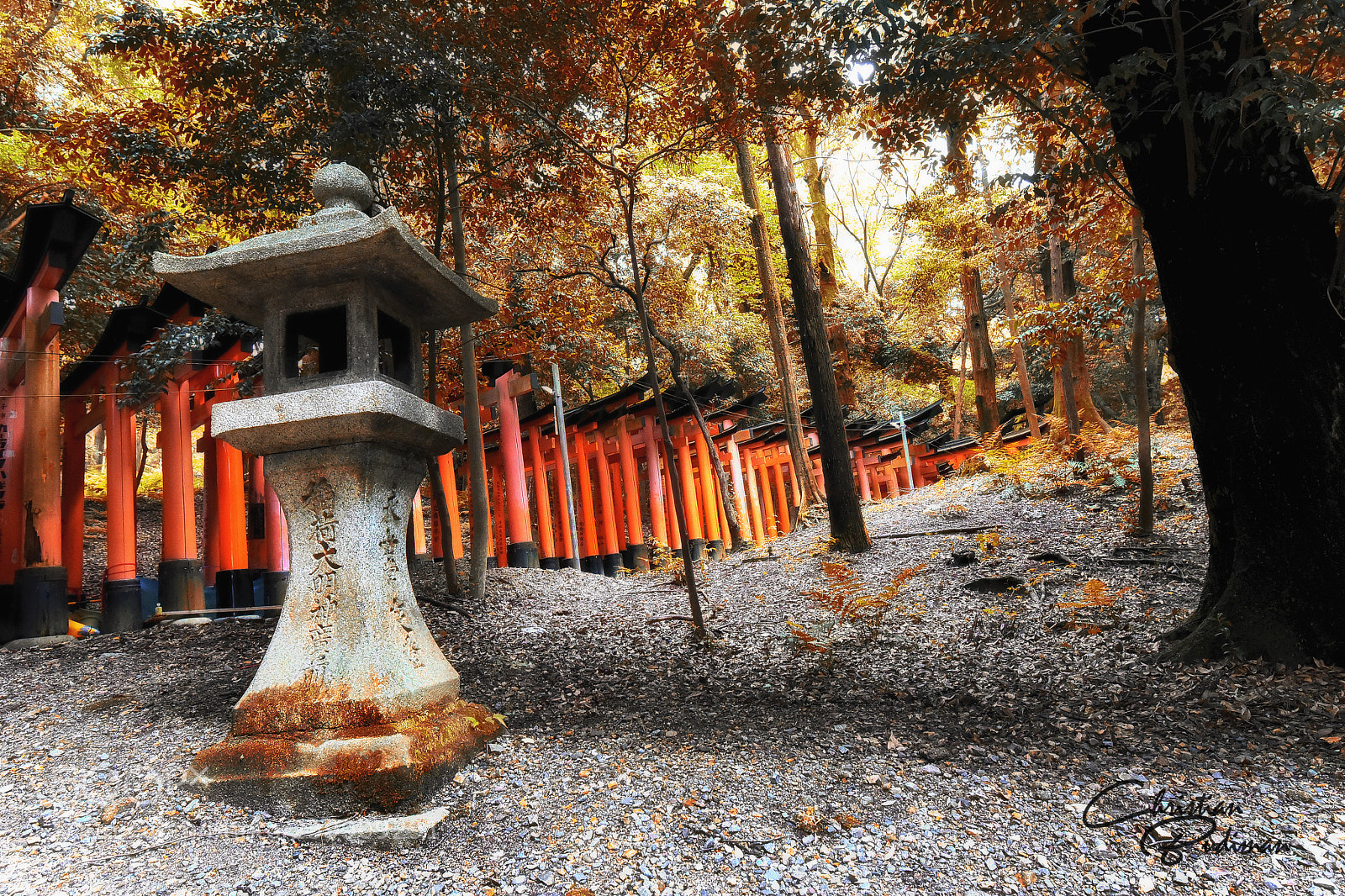 Nikon D750 sample photo. Fushimi inari-taisha photography