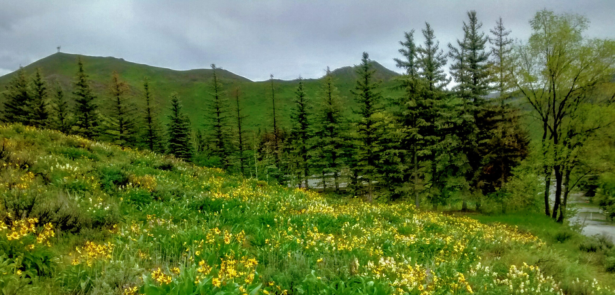 Motorola Moto G (1st Gen) sample photo. Dollar mountain view photography