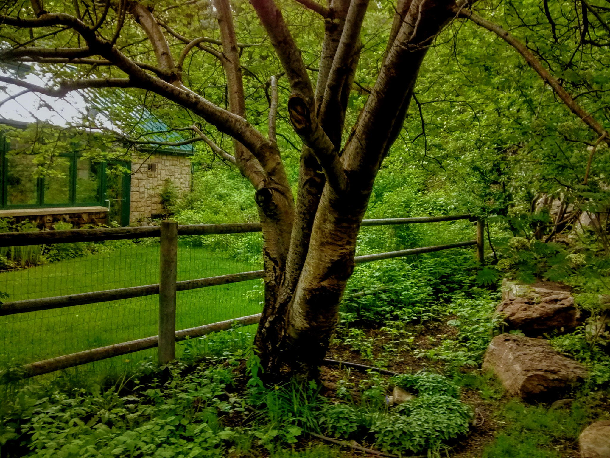 Motorola Moto G (1st Gen) sample photo. Lucy loken park photography