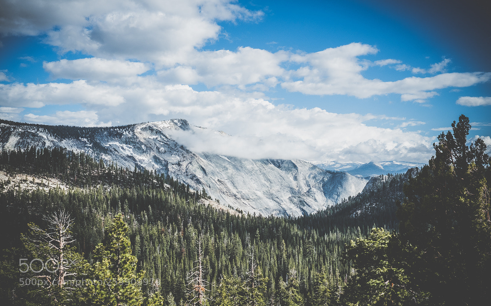 Fujifilm X-T2 sample photo. Yosemite photography