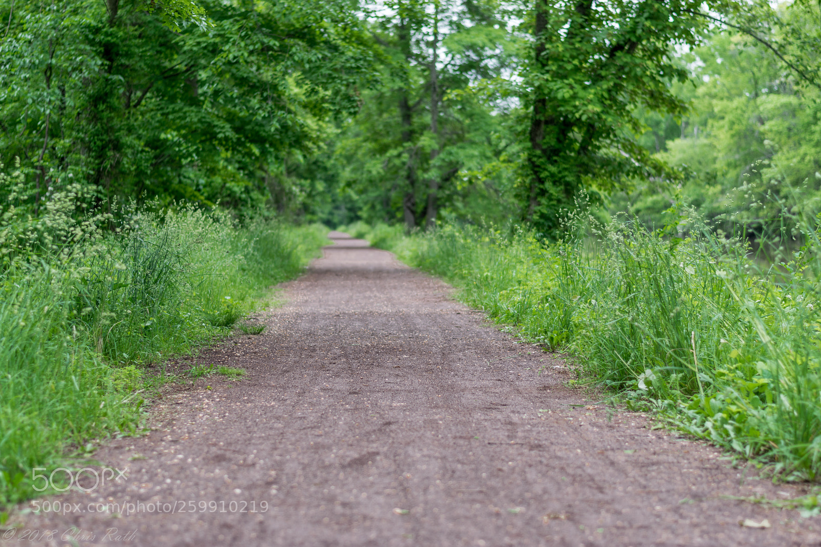 Nikon D5300 sample photo. D r canal on photography