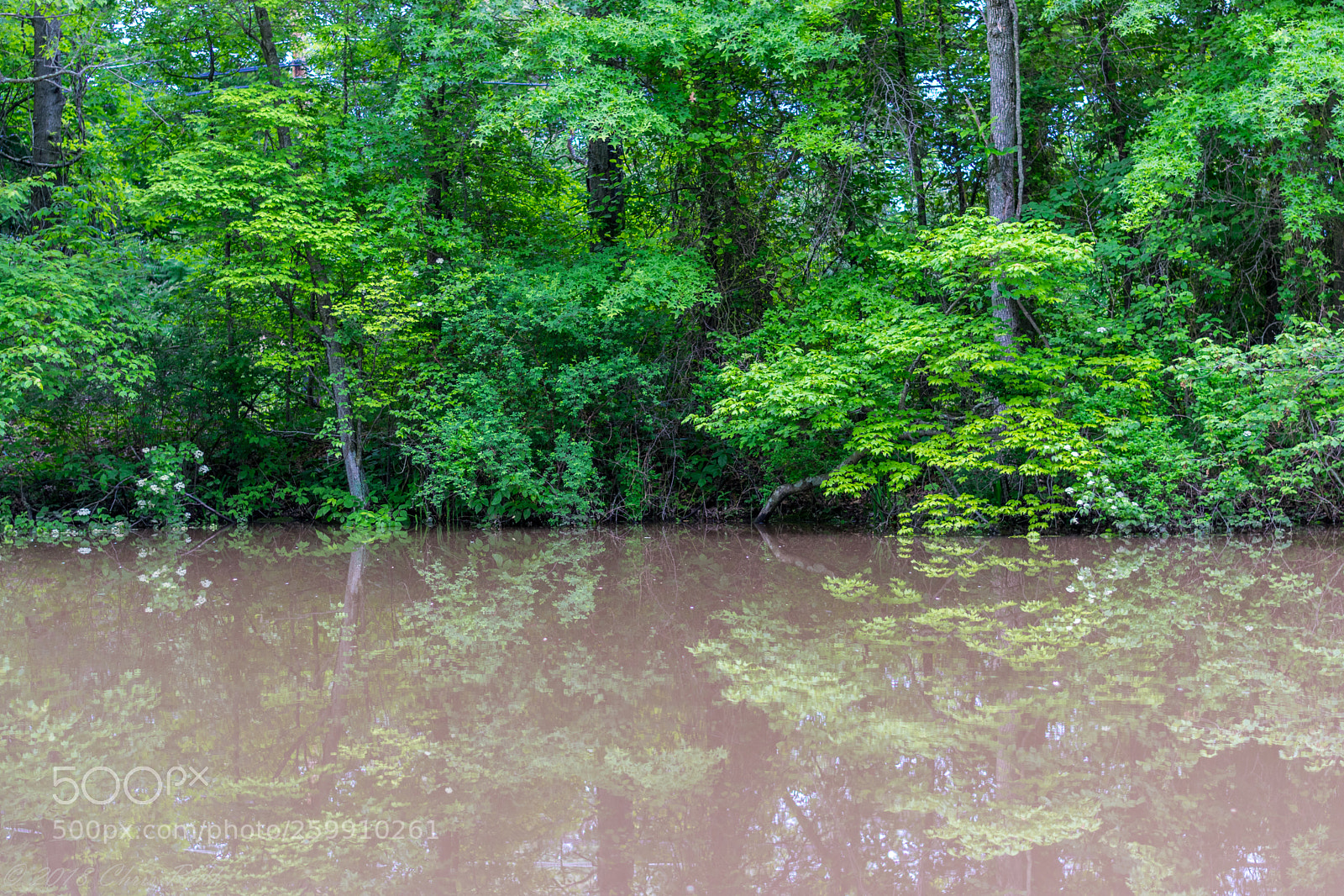 Nikon D5300 sample photo. D r canal on photography