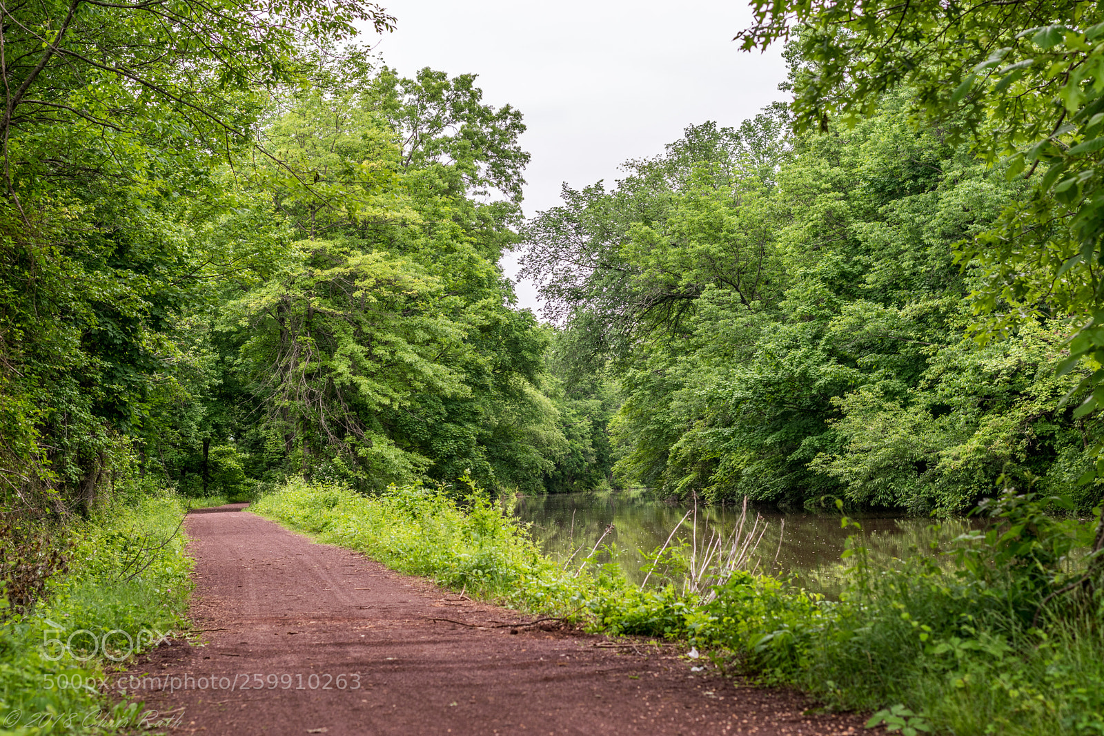Nikon D5300 sample photo. D r canal on photography