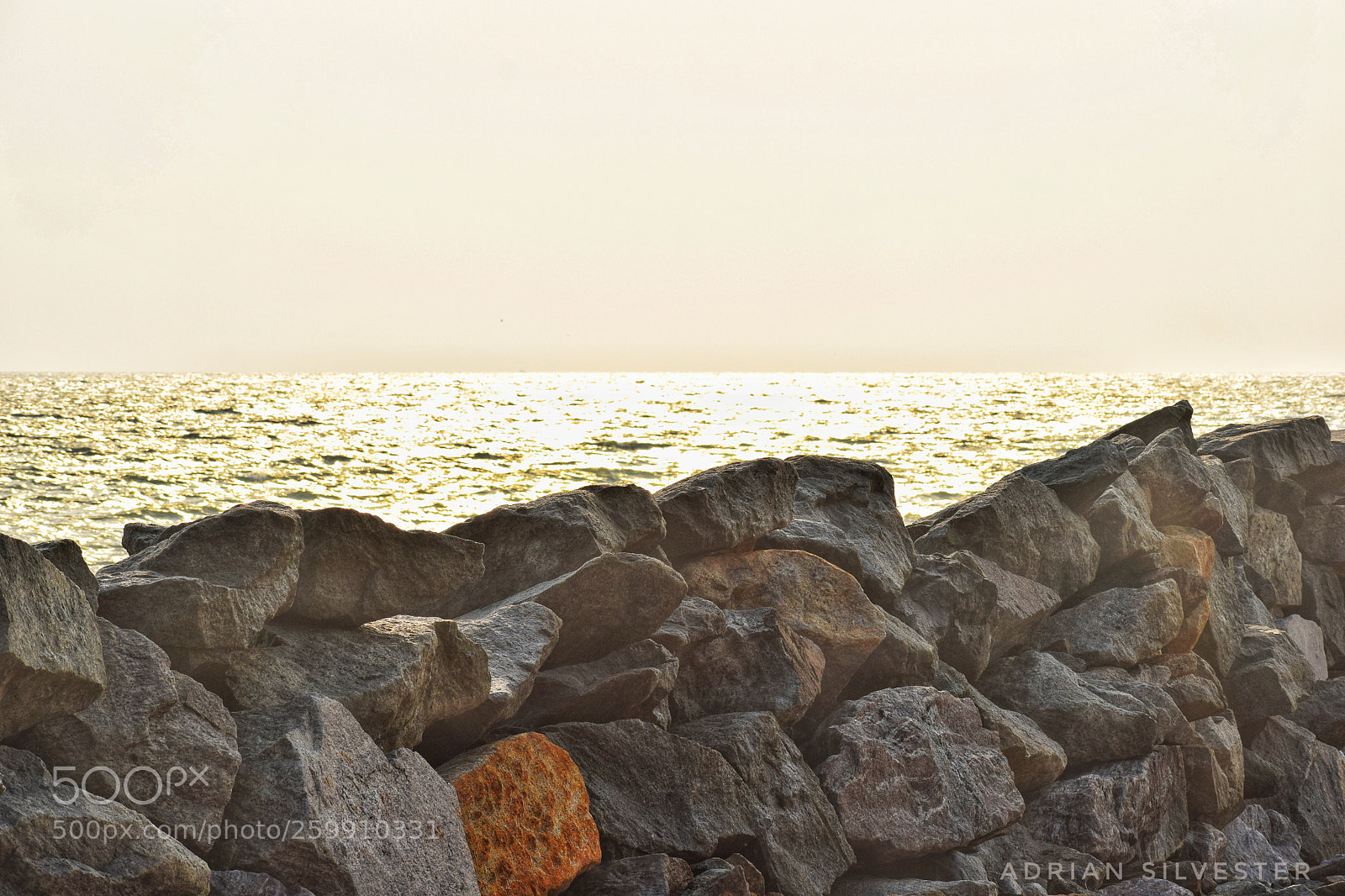 Nikon D5300 sample photo. Untitled photography