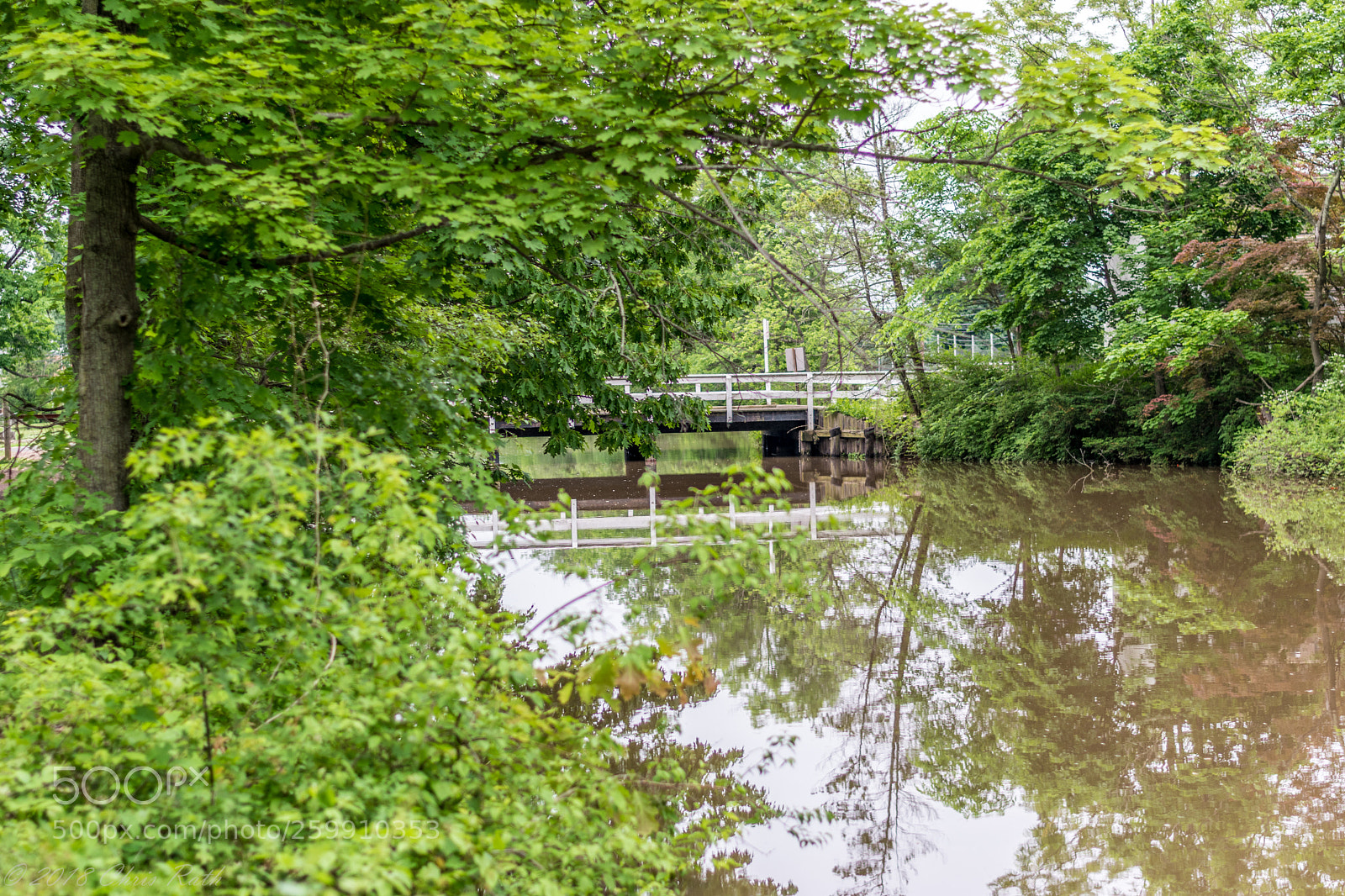 Nikon D5300 sample photo. D r canal on photography