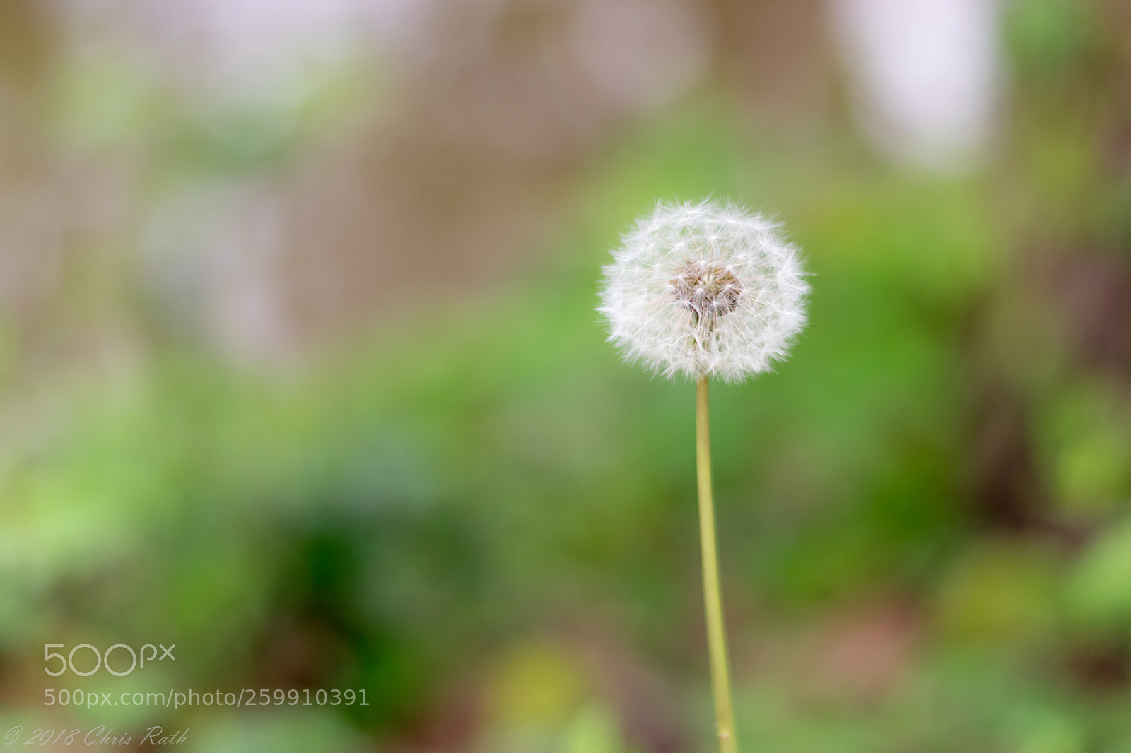 Nikon D5300 sample photo. D r canal on photography