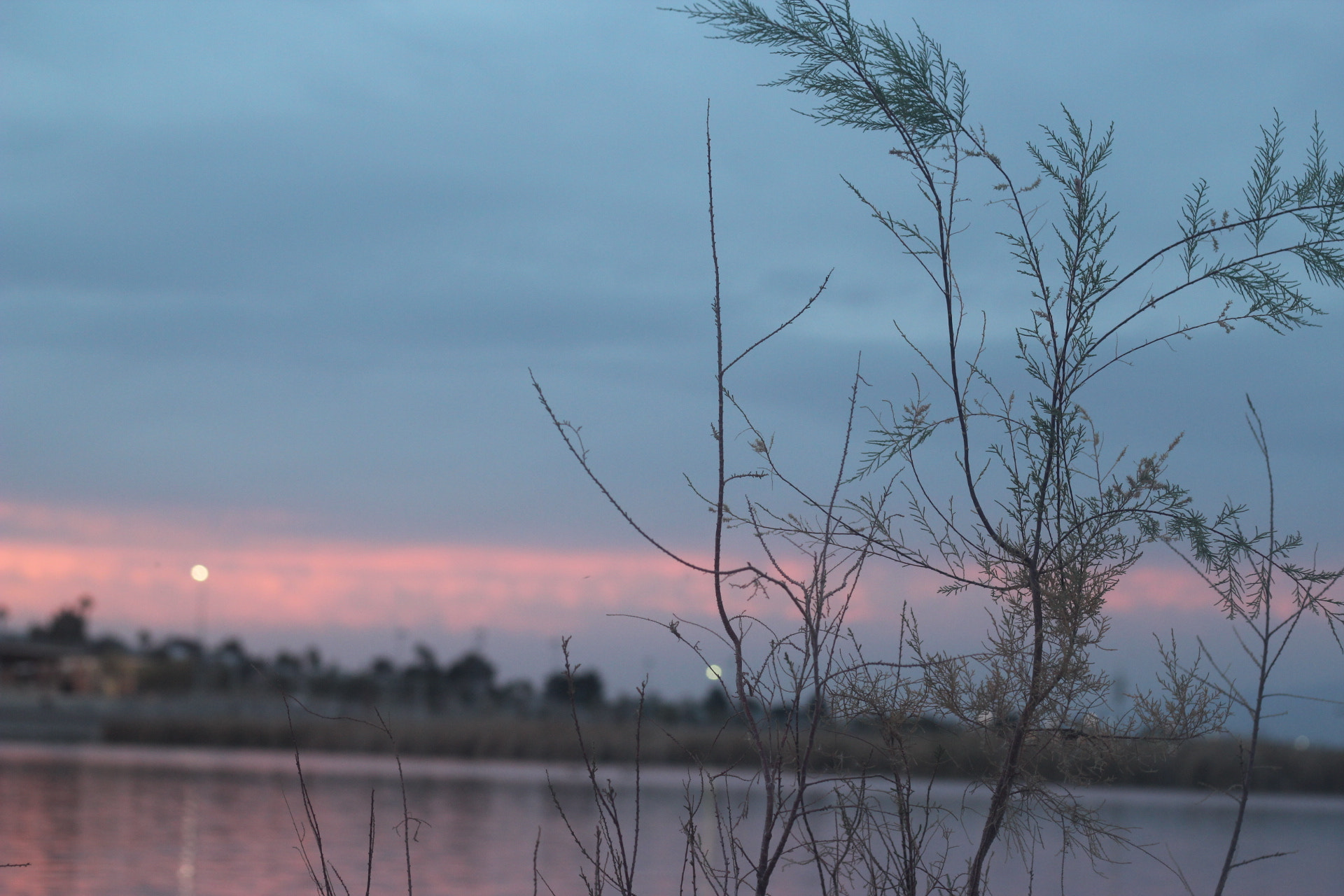 Canon EOS 600D (Rebel EOS T3i / EOS Kiss X5) sample photo. Red sunset photography