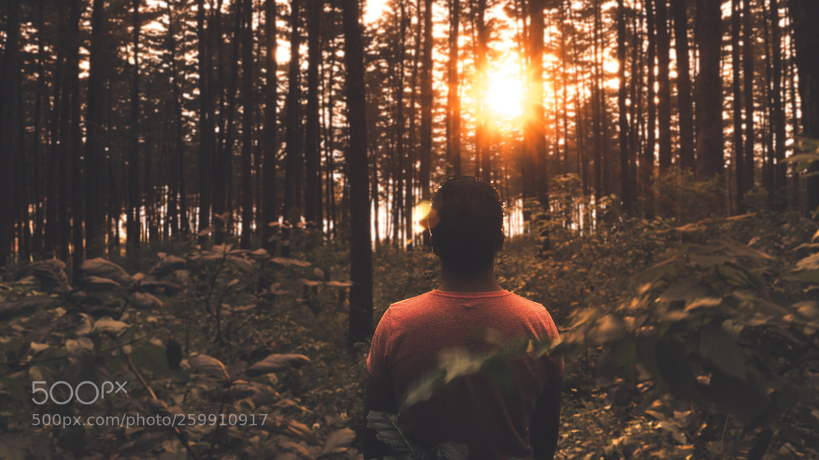 Sony a6000 sample photo. Perdido photography