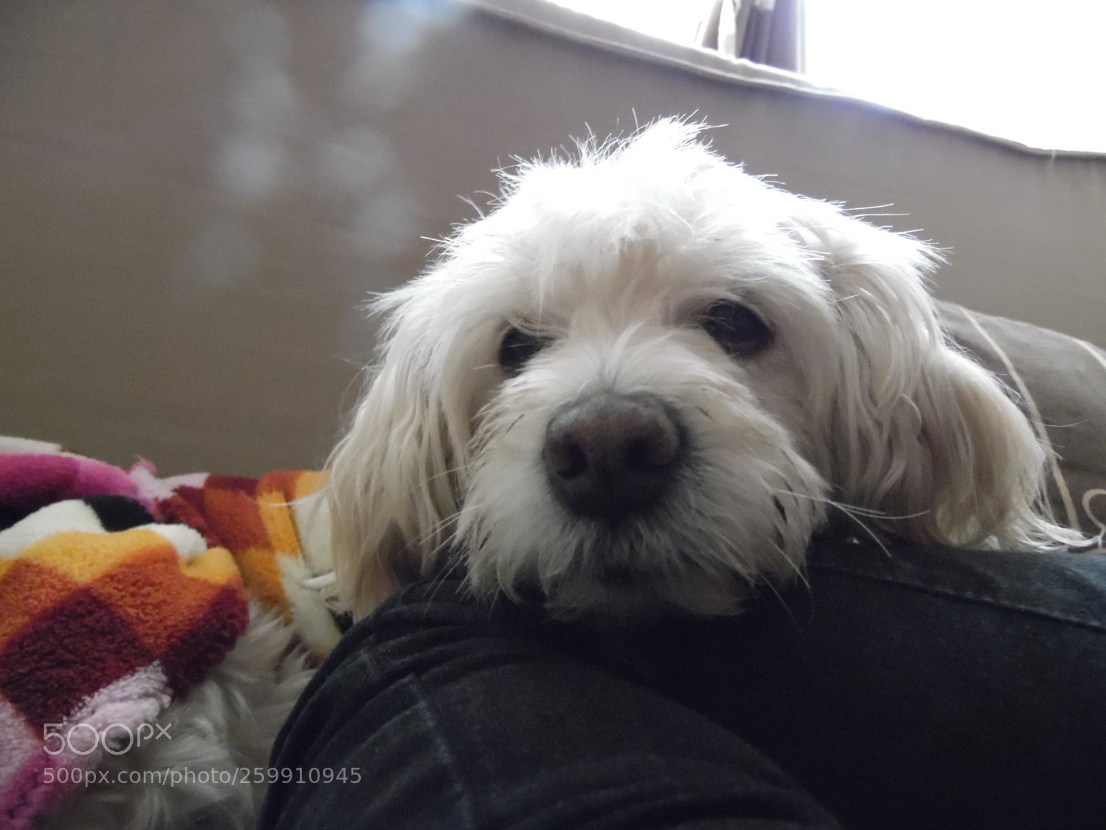 Samsung WB1100F/WB1101F/WB1102F sample photo. "descanso" photography