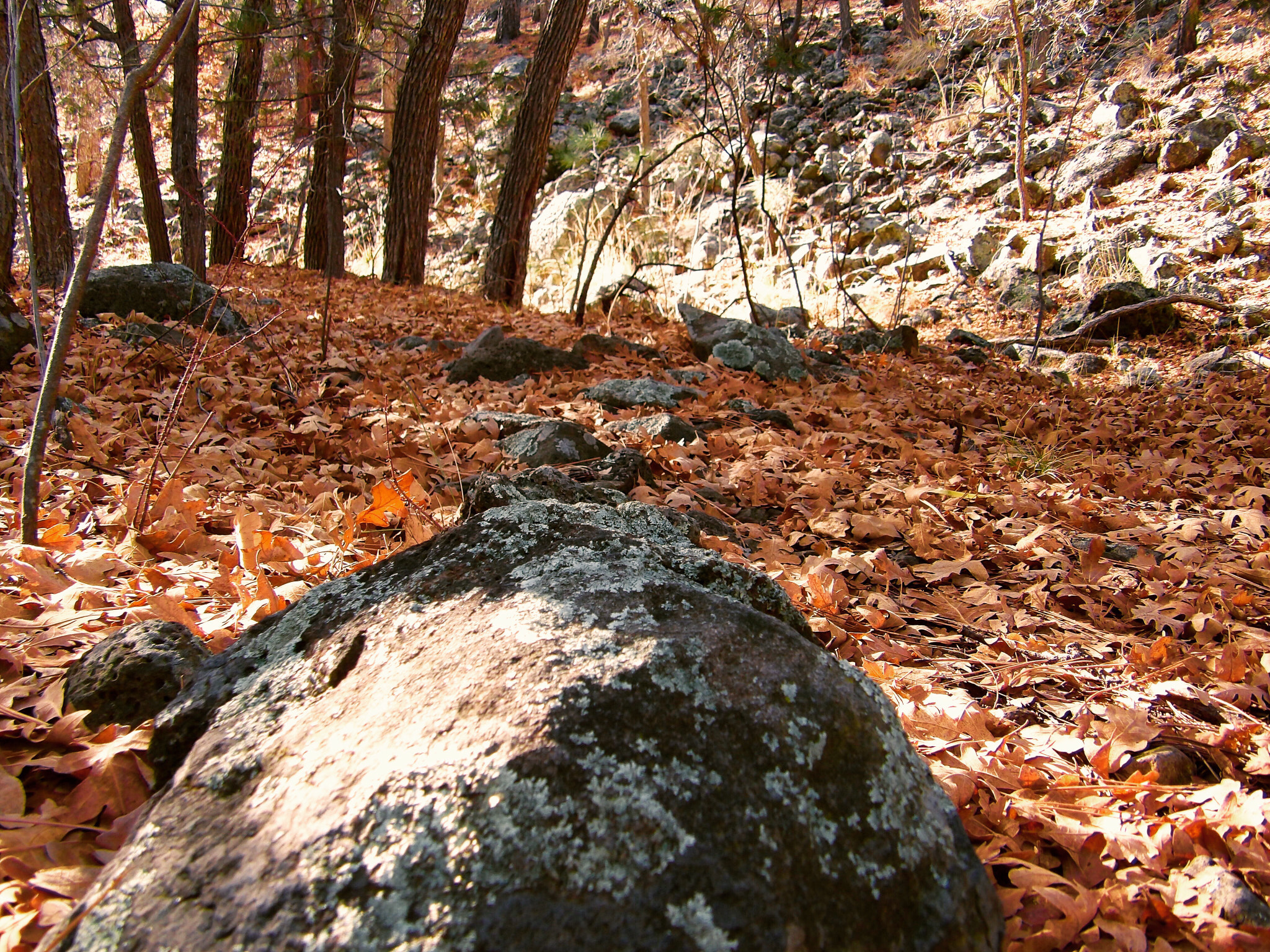 JK KODAK PIXPRO AZ525 sample photo. The lost trail.  photography