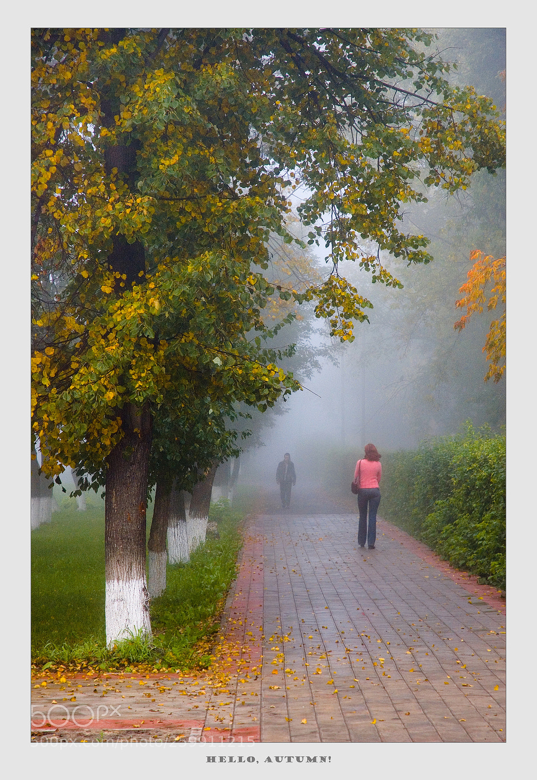 Nikon D70 sample photo. Hello autumn! photography