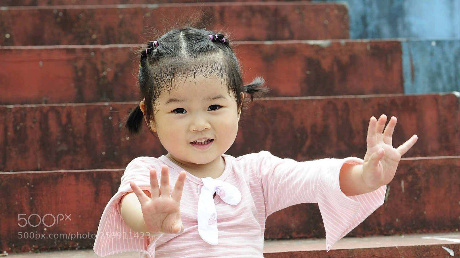 Nikon D700 sample photo. Untitled photography