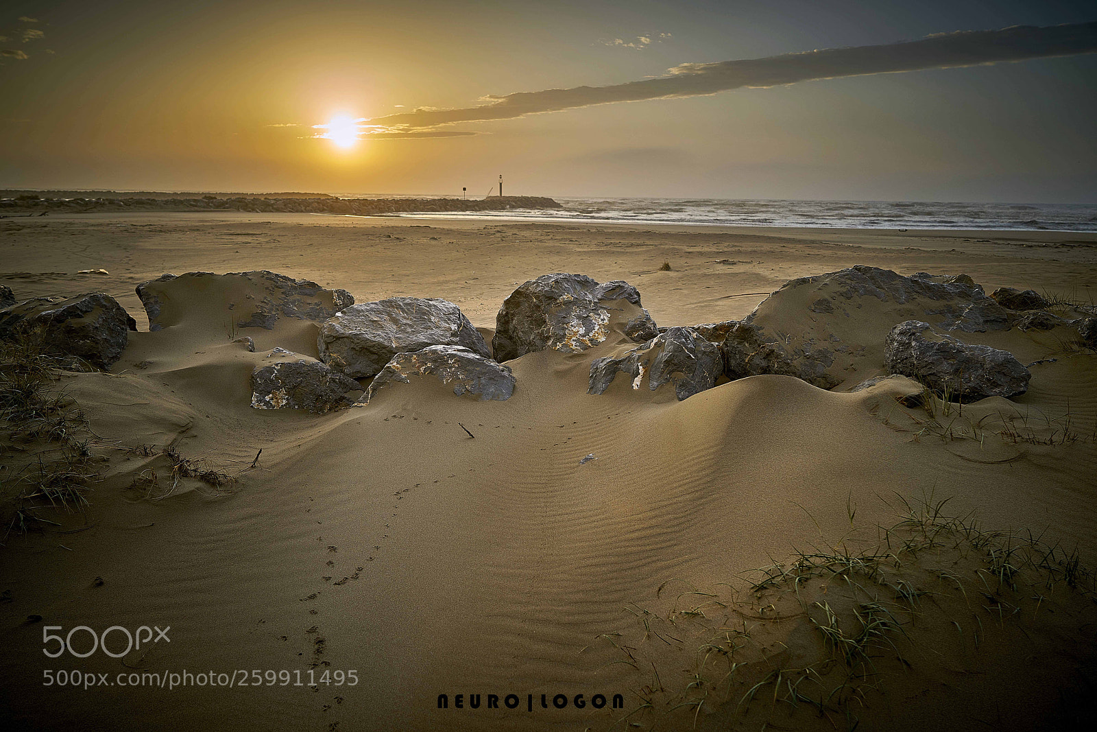 Sony a7R II sample photo. Golden morning photography
