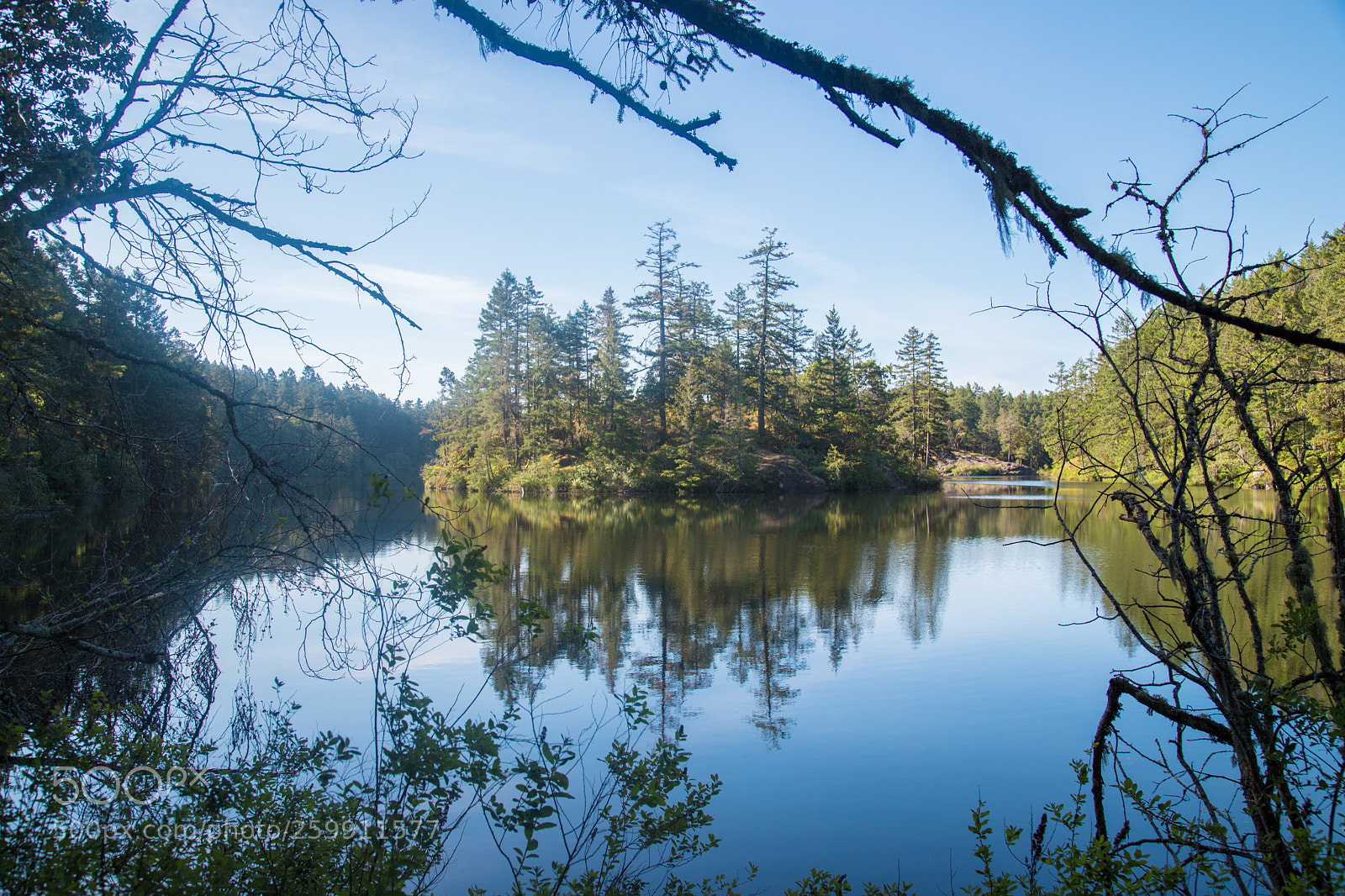 Canon EOS 6D Mark II sample photo. Thetis lake island photography