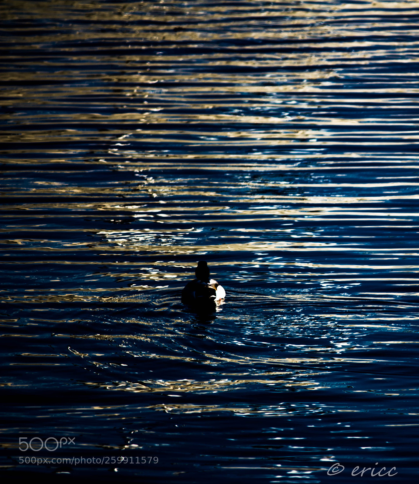 Canon EOS 650D (EOS Rebel T4i / EOS Kiss X6i) sample photo. Jeux d'eau photography