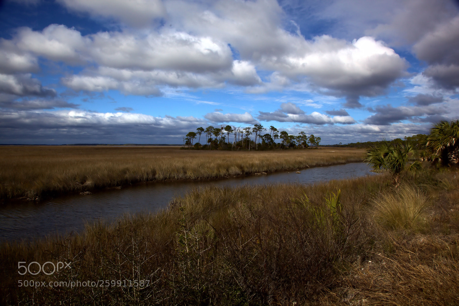 Canon EOS 5D Mark II sample photo. Water's edge photography