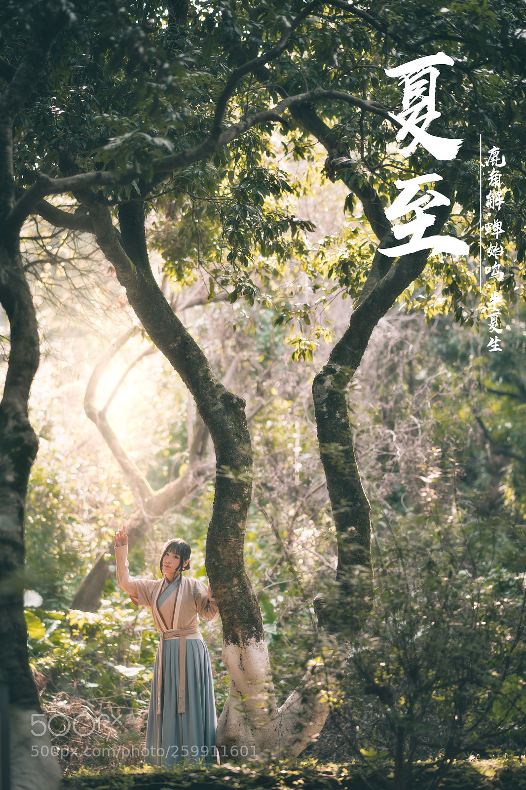 Sony a7 II sample photo. 夏至-xiazhi photography
