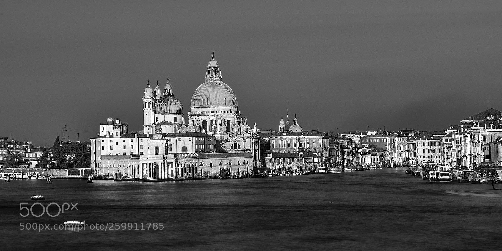 Nikon D850 sample photo. Venice at morning photography